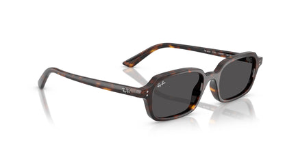 Ray-Ban Zuri RB4455