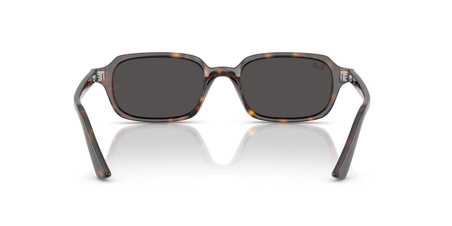 Ray-Ban Zuri RB4455