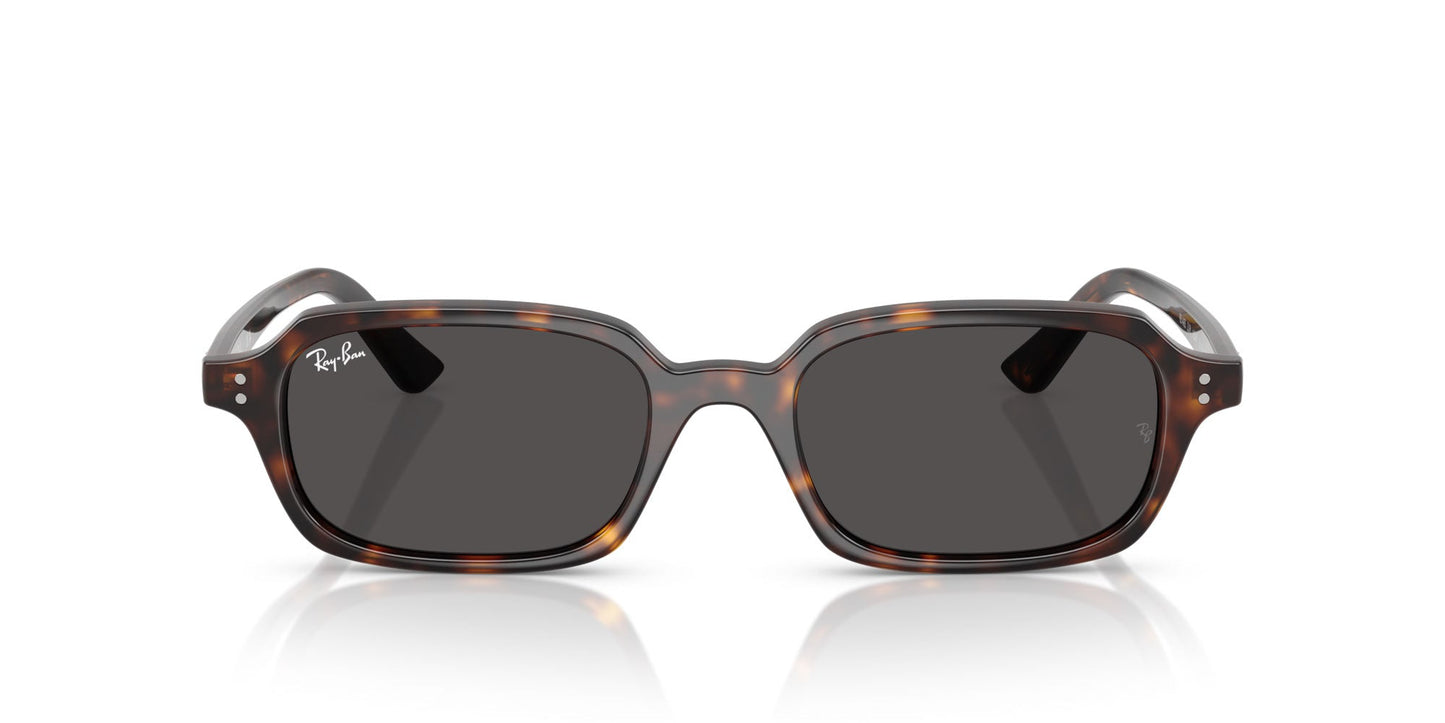 Ray-Ban Zuri RB4455
