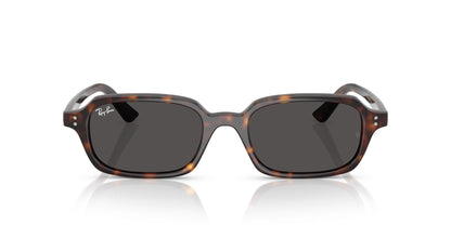 Ray-Ban Zuri RB4455