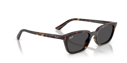 Ray-Ban Zaya RB4456