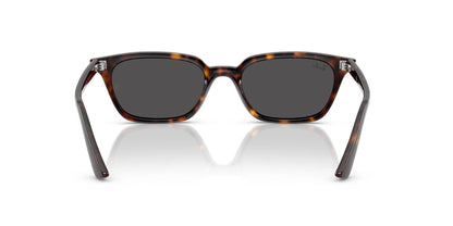 Ray-Ban Zaya RB4456