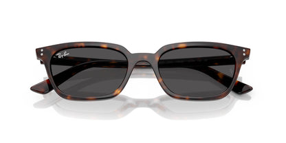 Ray-Ban Zaya RB4456