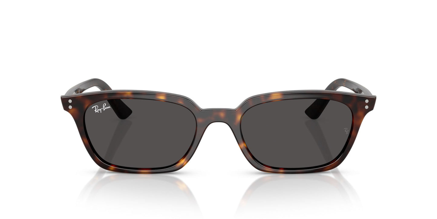 Ray-Ban Zaya RB4456
