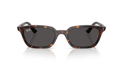 Ray-Ban Zaya RB4456