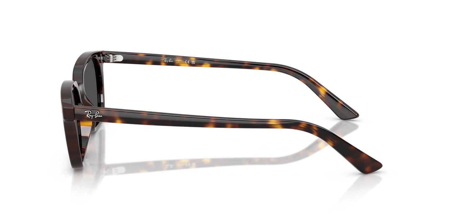 Ray-Ban Zaya RB4456