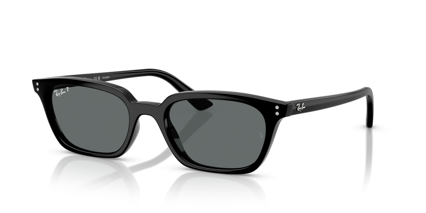 Ray-Ban Zaya RB4456 Black/Dark Grey Polarised #colour_black-dark-grey-polarised