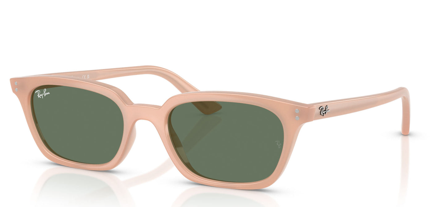 Ray-Ban Zaya RB4456#colour_cloudy-natural-pink-dark-green