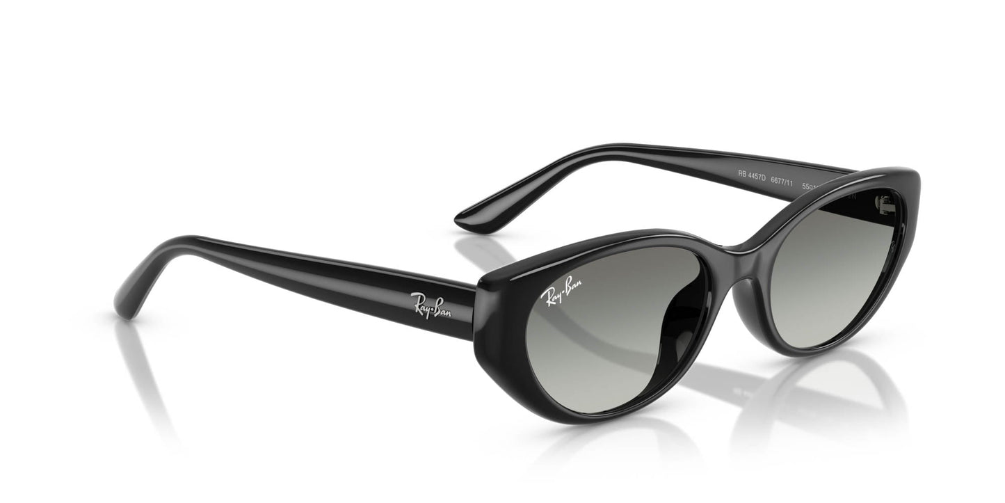 Ray-Ban RB4457D