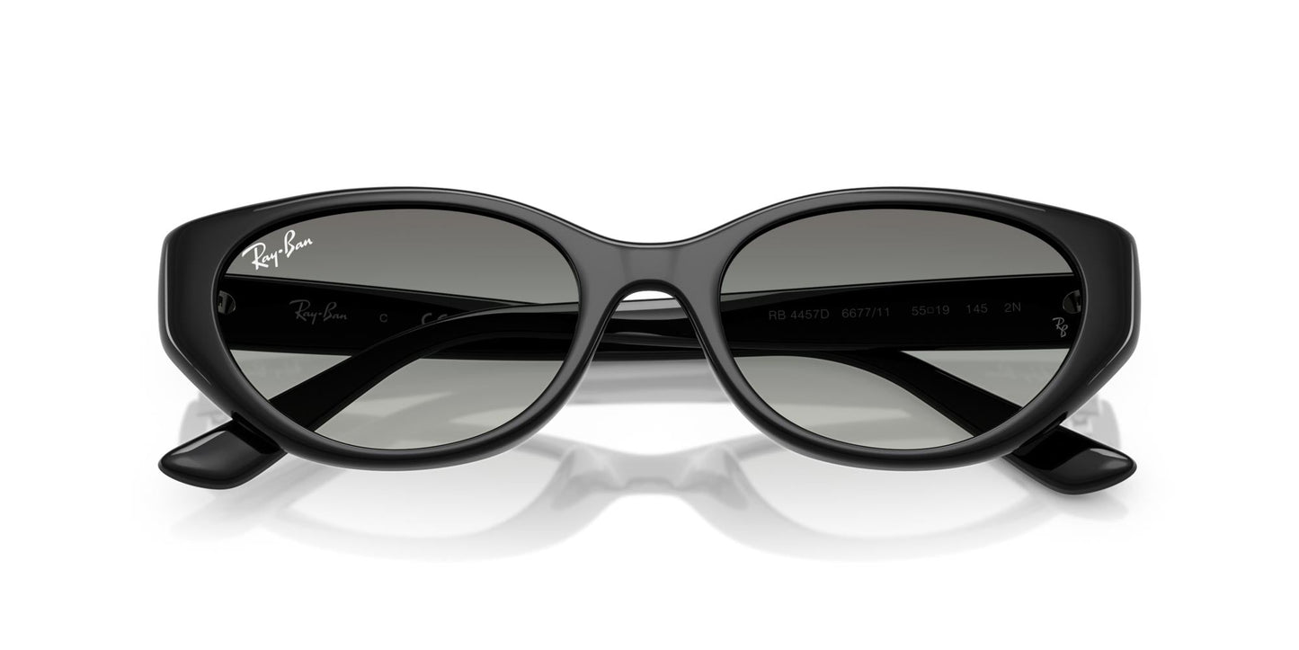 Ray-Ban RB4457D