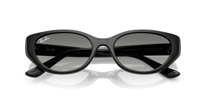 Ray-Ban RB4457D