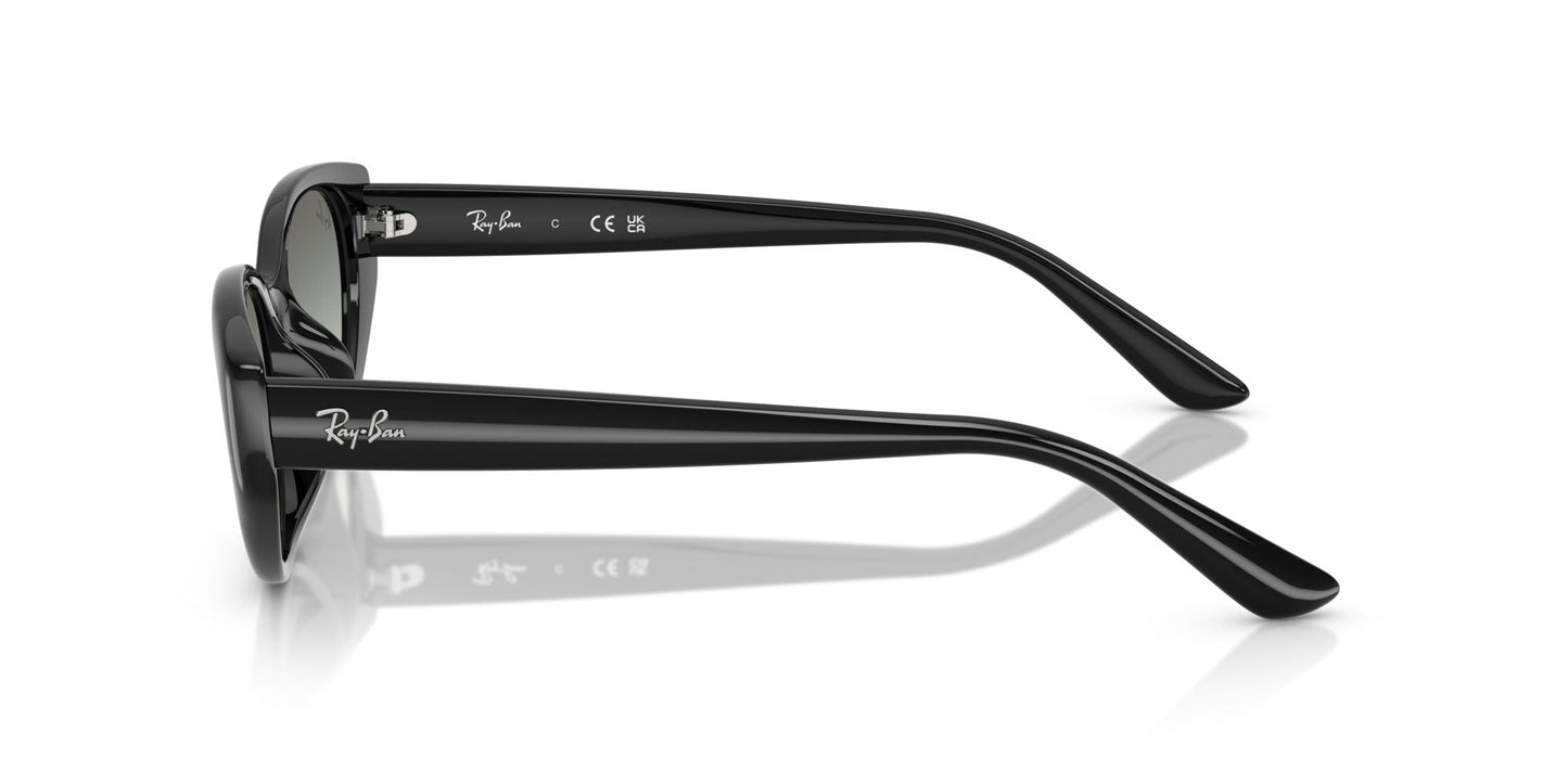 Ray-Ban RB4457D