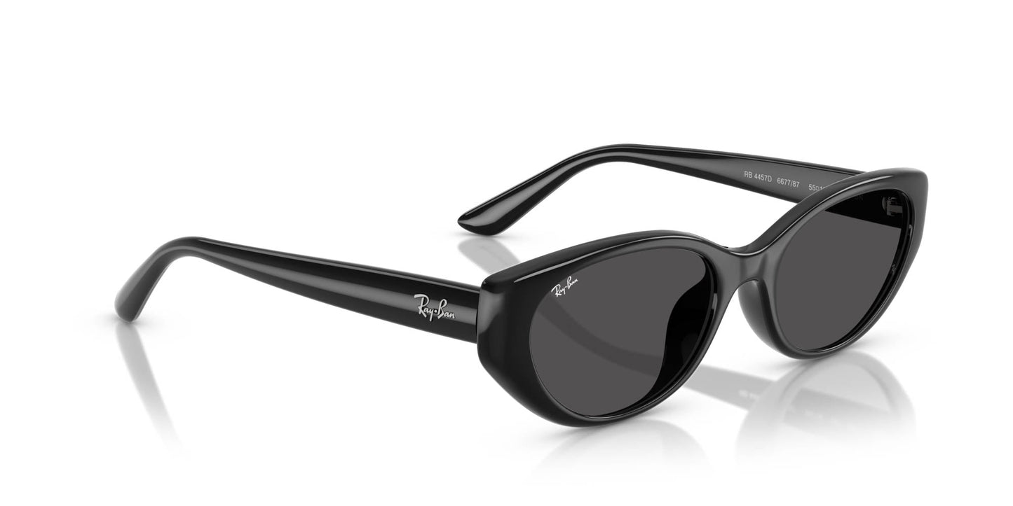 Ray-Ban RB4457D
