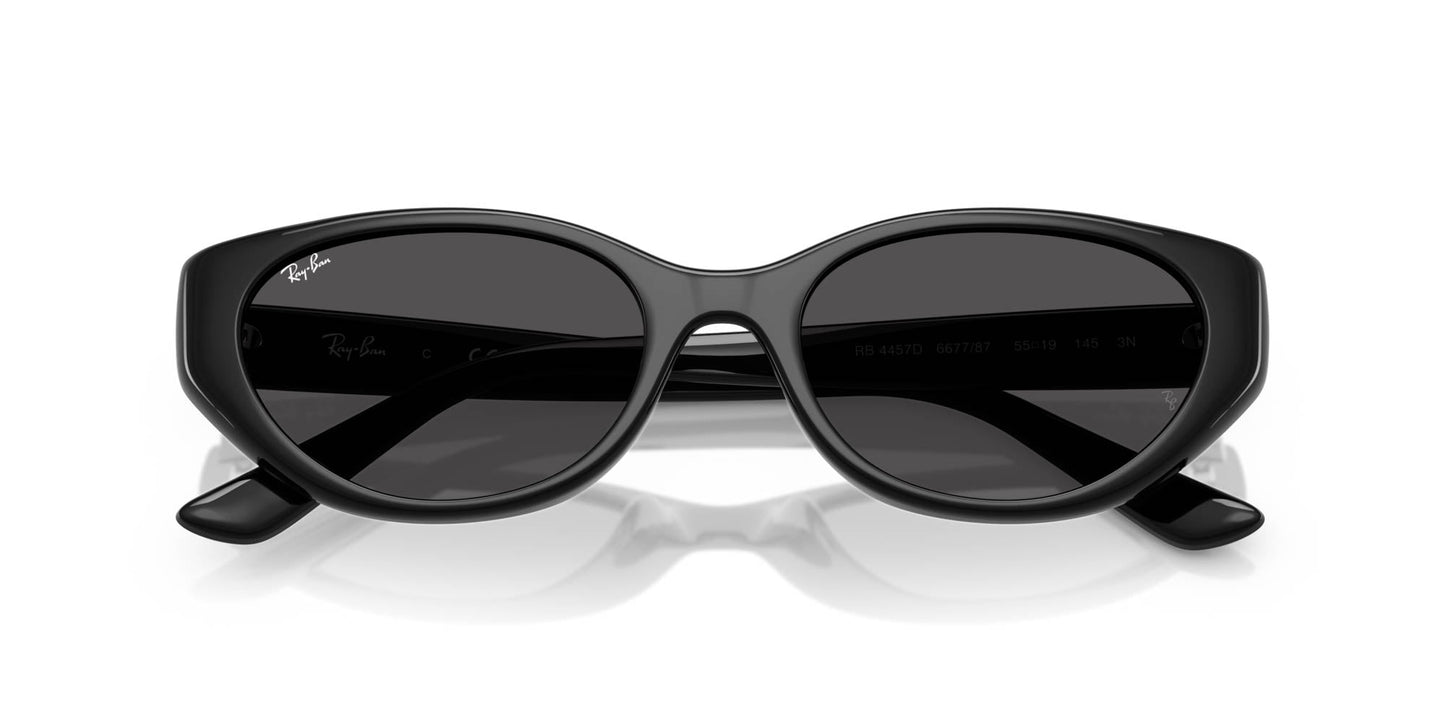 Ray-Ban RB4457D