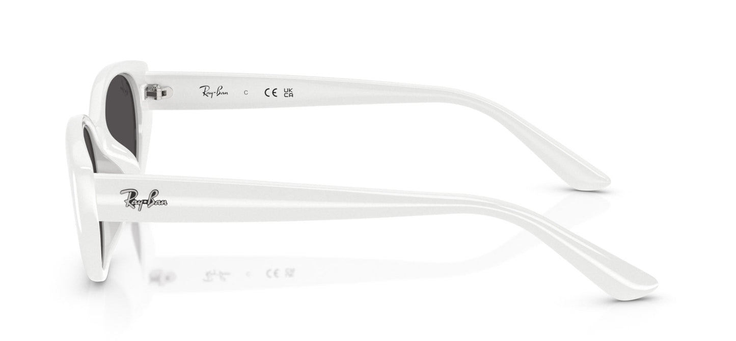 Ray-Ban RB4457D