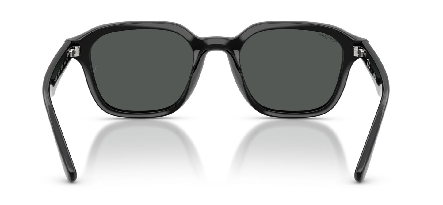 Ray-Ban RB4458D