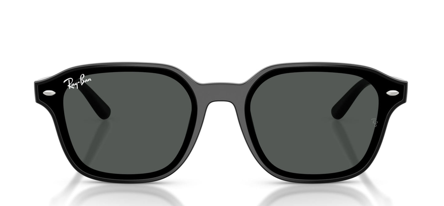 Ray-Ban RB4458D