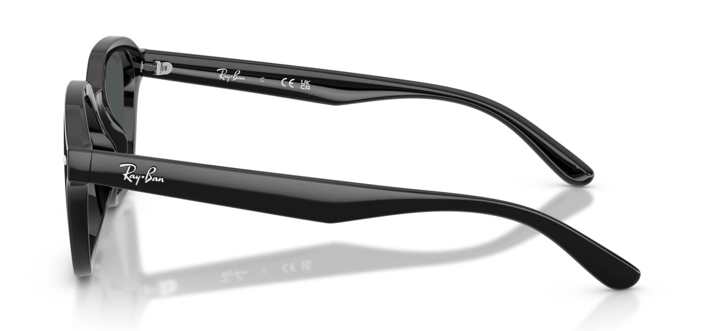 Ray-Ban RB4458D