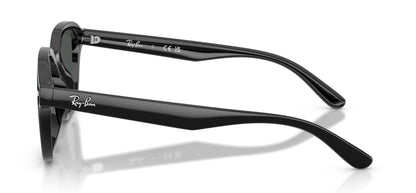 Ray-Ban RB4458D