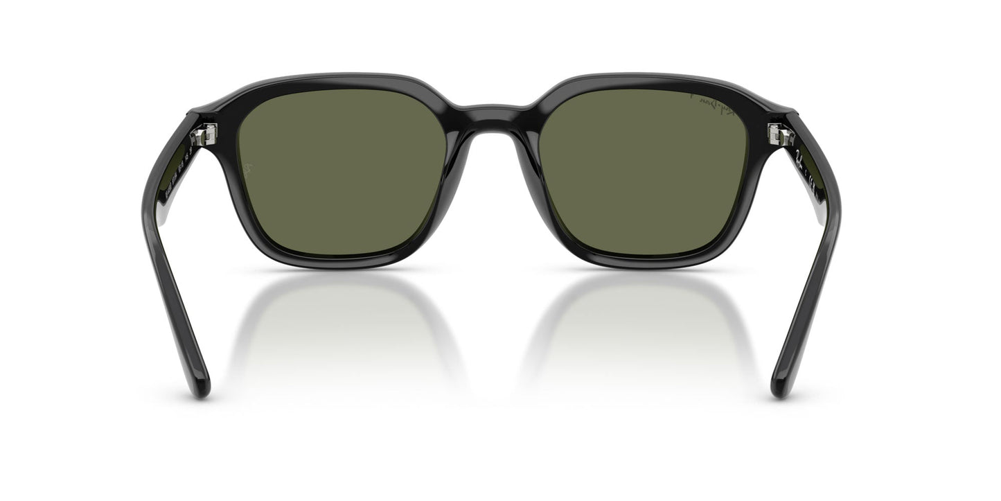 Ray-Ban RB4458D