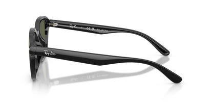 Ray-Ban RB4458D