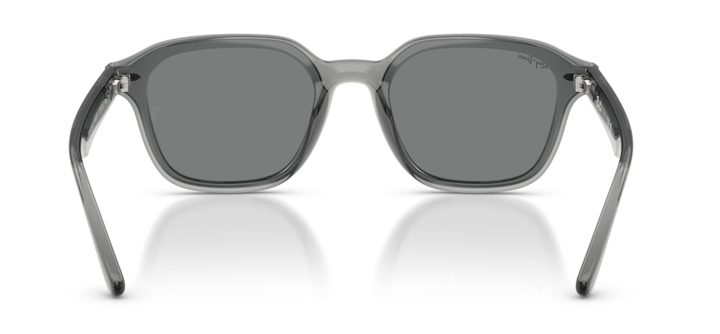 Ray-Ban RB4458D