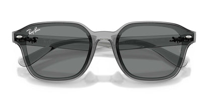 Ray-Ban RB4458D