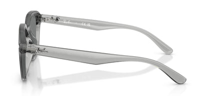 Ray-Ban RB4458D