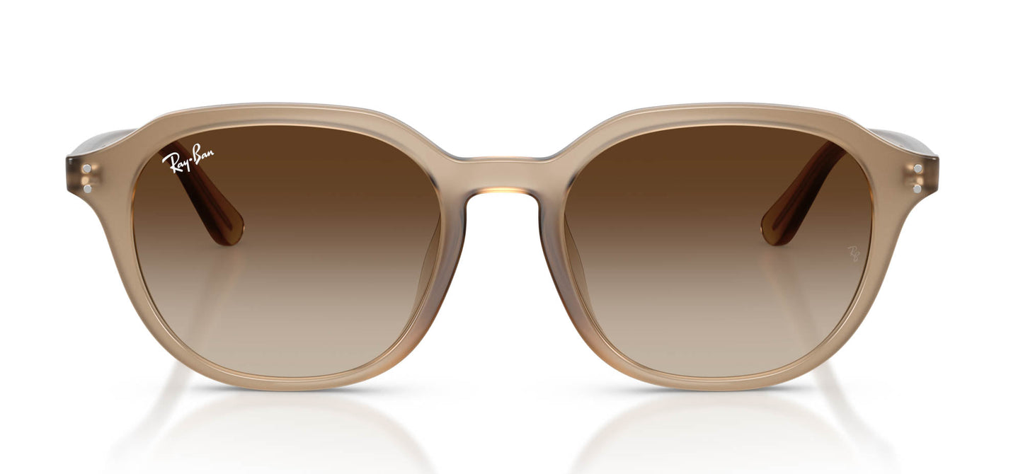 Ray-Ban RB4459D