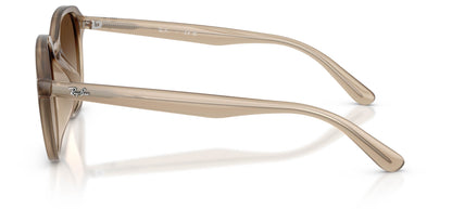 Ray-Ban RB4459D