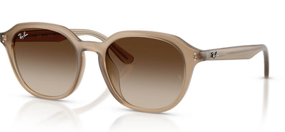 #colour_turtledove-brown-gradient