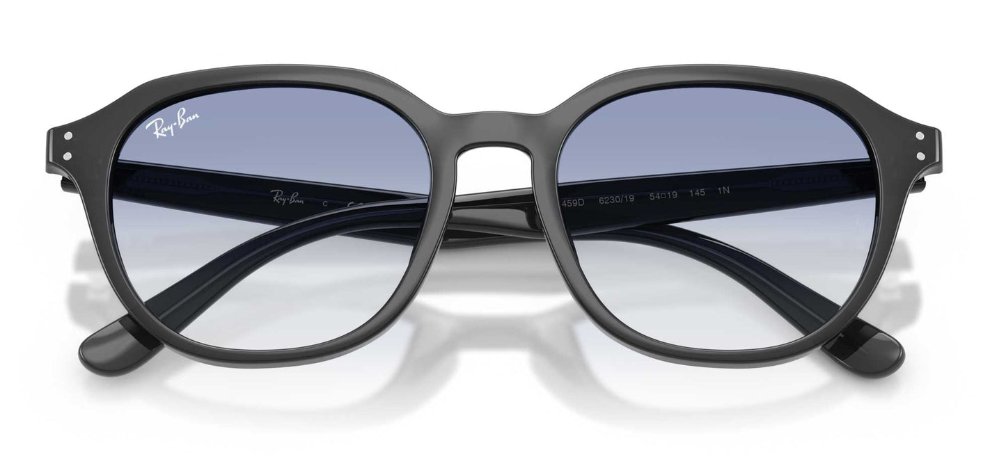 Ray-Ban RB4459D
