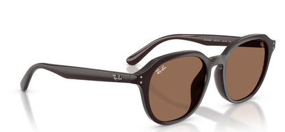 Ray-Ban RB4459D