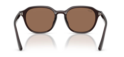 Ray-Ban RB4459D