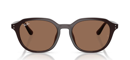 Ray-Ban RB4459D
