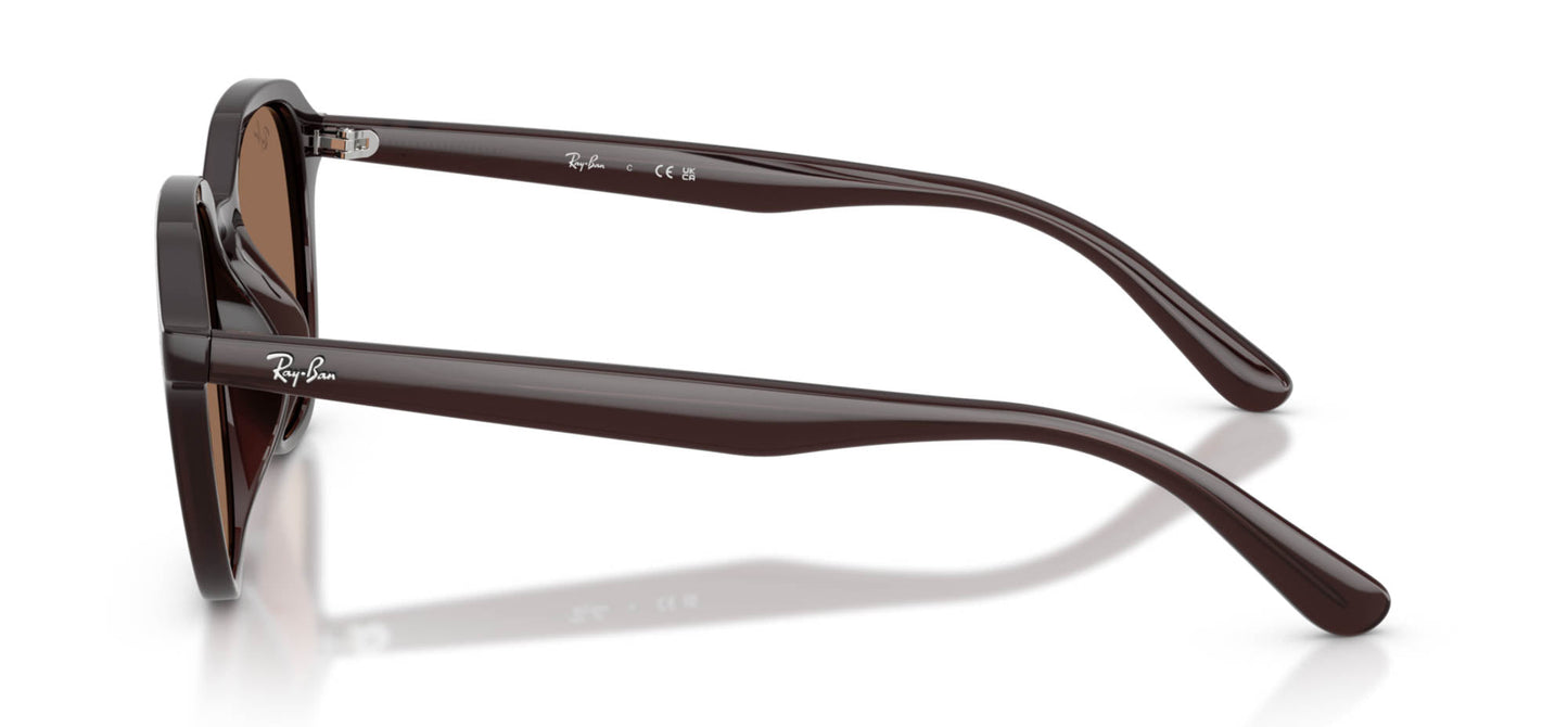 Ray-Ban RB4459D