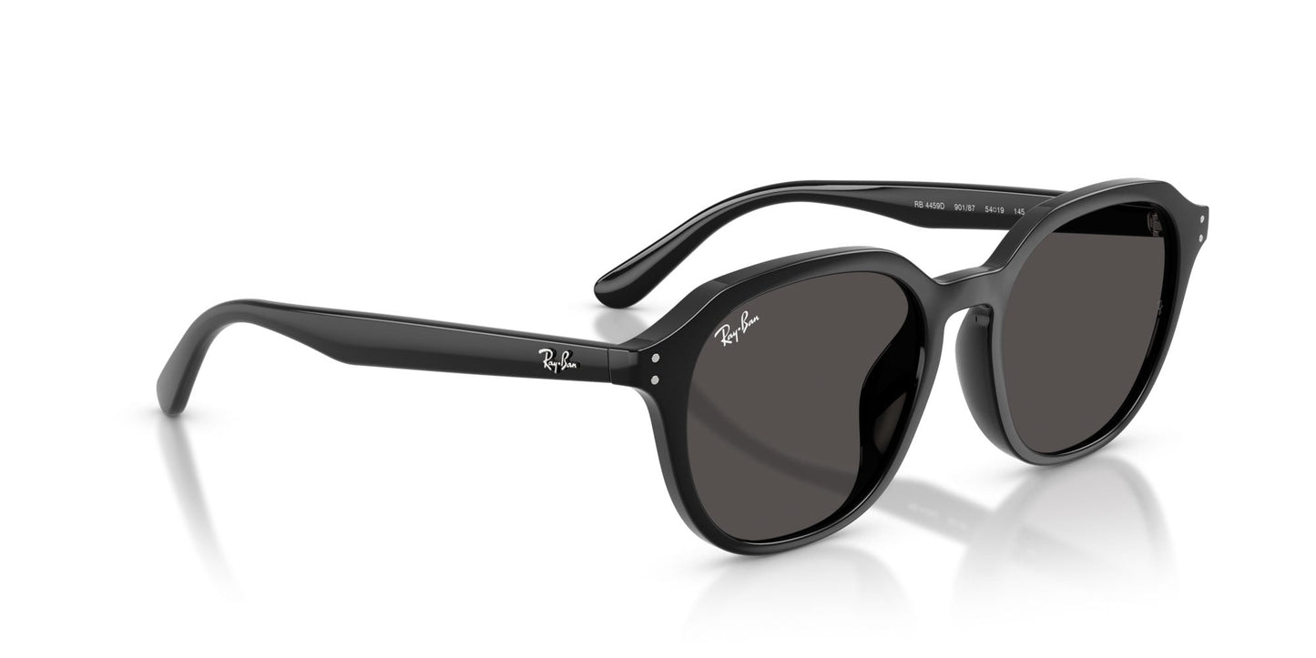 Ray-Ban RB4459D