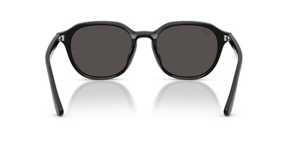 Ray-Ban RB4459D