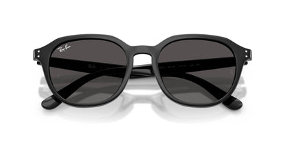 Ray-Ban RB4459D