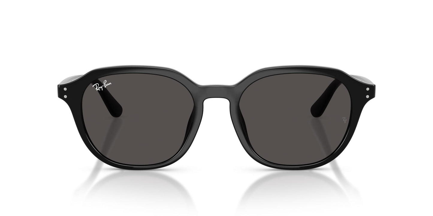 Ray-Ban RB4459D