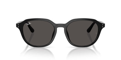 Ray-Ban RB4459D