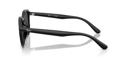 Ray-Ban RB4459D