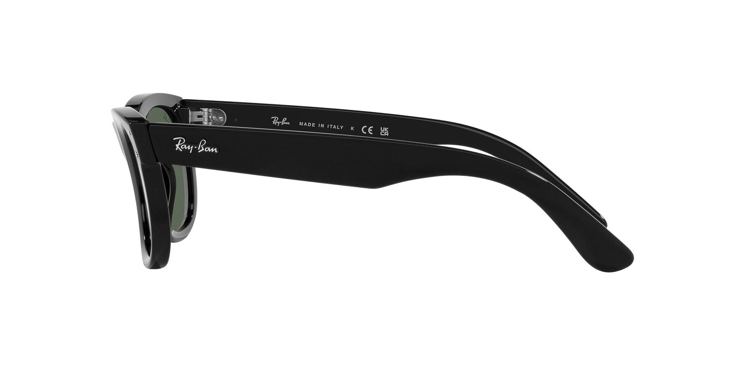 Ray-Ban Wayfarer Reverse RBR0502S