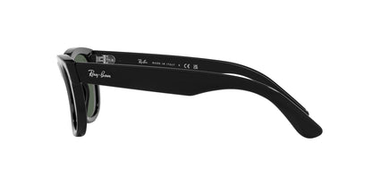 Ray-Ban Wayfarer Reverse RBR0502S