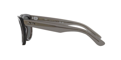 Ray-Ban Wayfarer Reverse RBR0502S