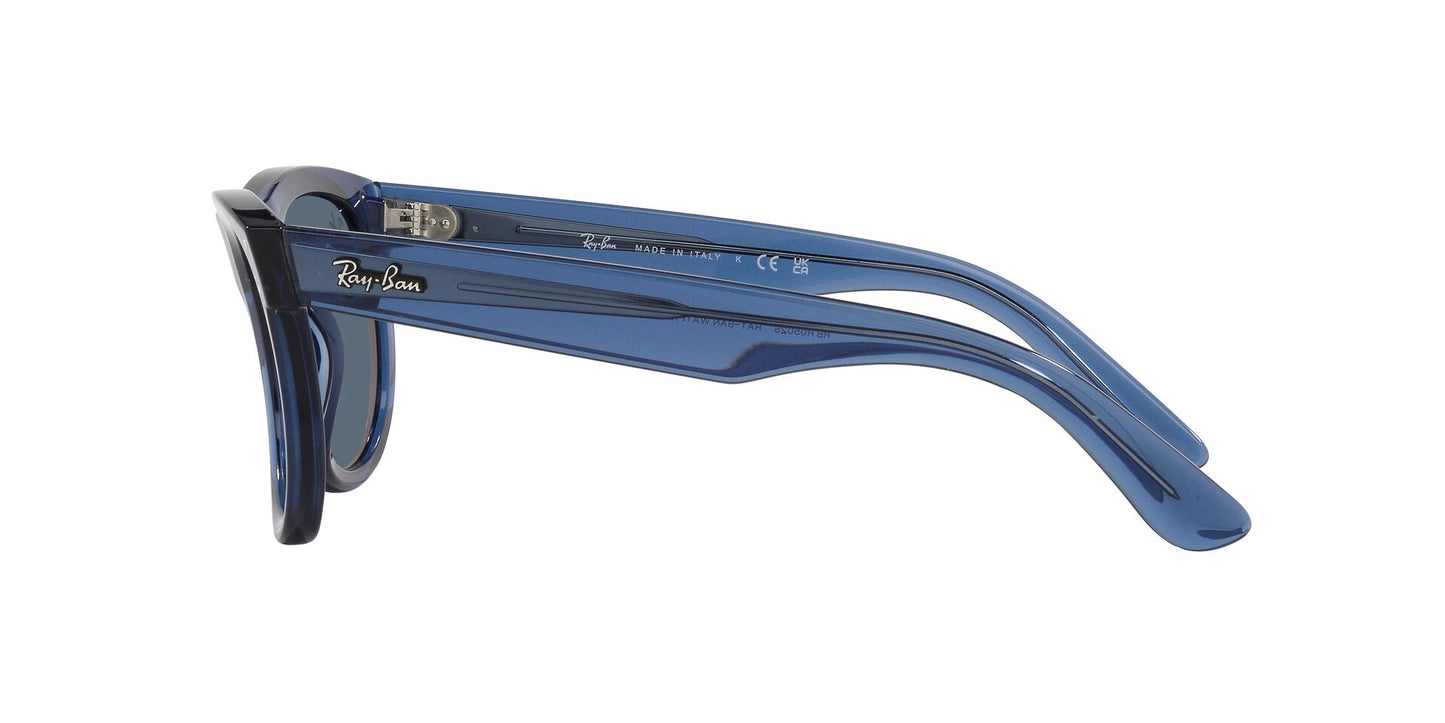 Ray-Ban Wayfarer Reverse RBR0502S
