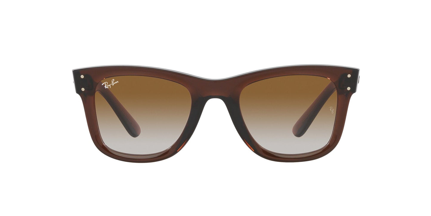 Ray-Ban Wayfarer Reverse RBR0502S