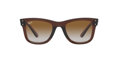 Ray-Ban Wayfarer Reverse RBR0502S