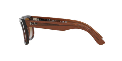 Ray-Ban Wayfarer Reverse RBR0502S