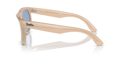 Ray-Ban Wayfarer Reverse RBR0502S